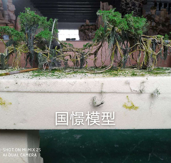 荥经县场景模型