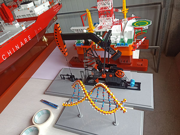 荥经县船舶模型