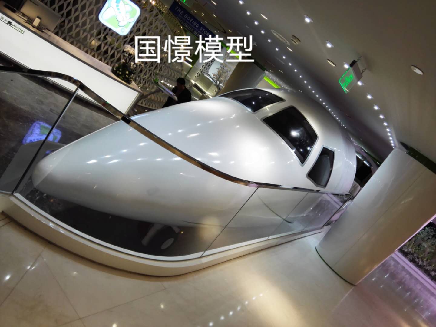 荥经县大型仿真模型道具