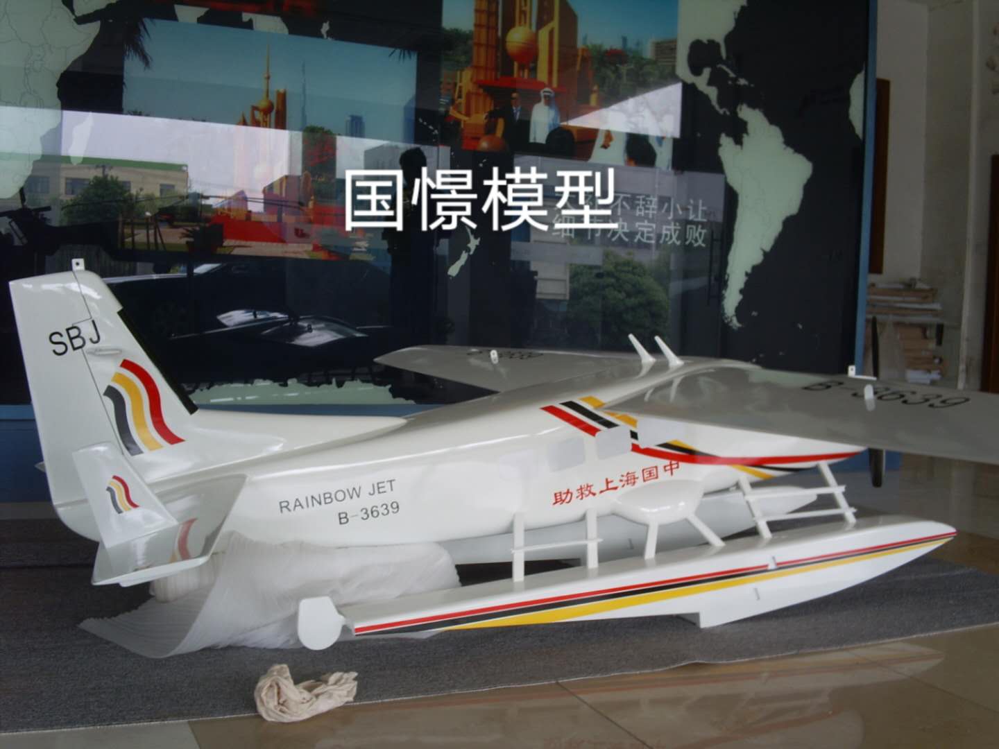 荥经县飞机模型