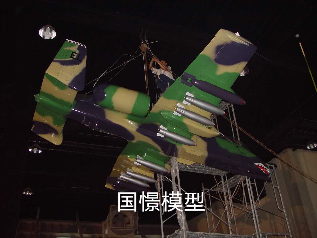 荥经县军事模型