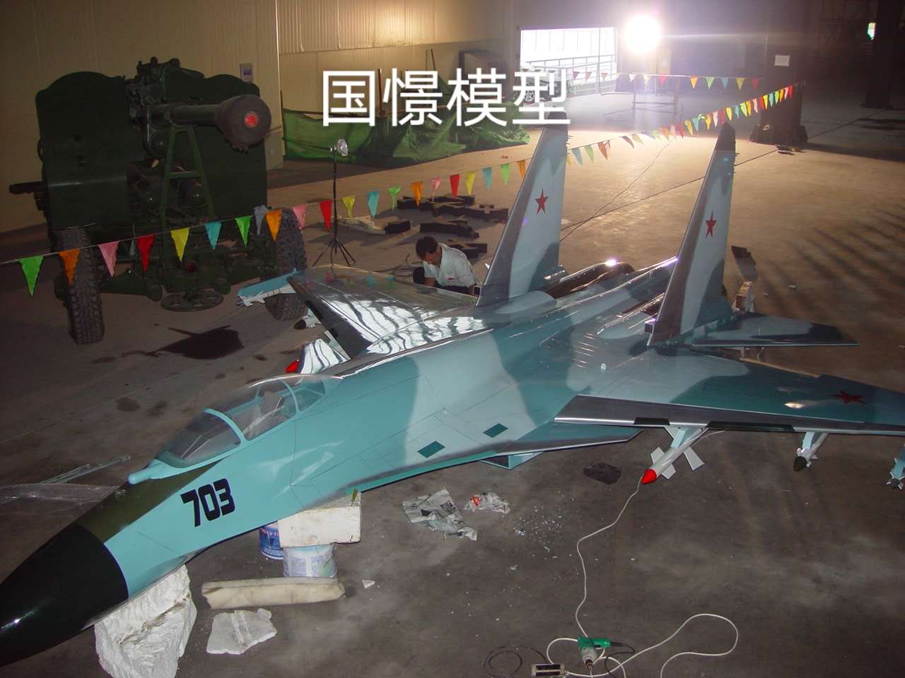荥经县军事模型