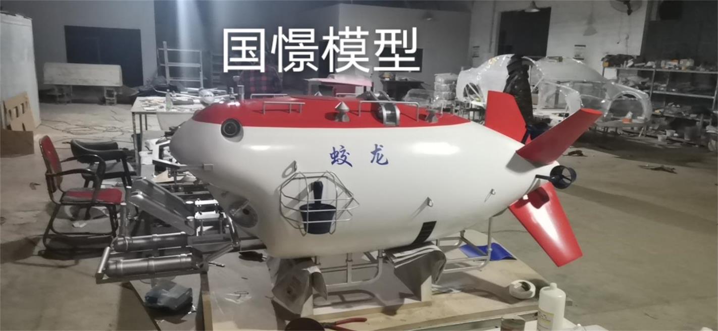 荥经县船舶模型