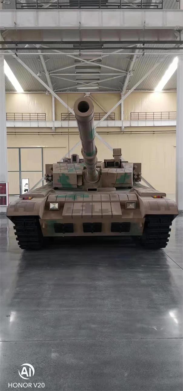 荥经县军事模型